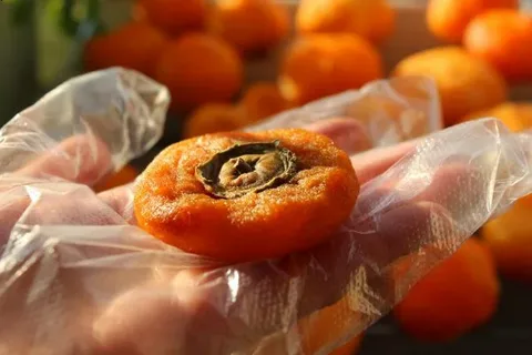 تصویر 3 از قیمت خرید میوه خشک خرمالو + فروش ویژه